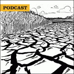 Podcast: Drought --- drawing of dry, cracked corn field