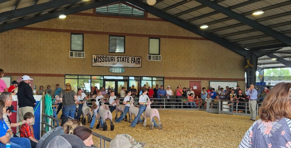 4-H exhibitors during the 2024 State Fair.